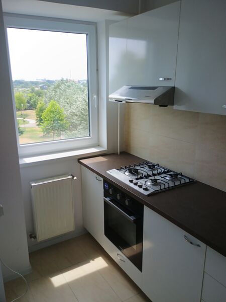 Bragadiru, Ilfov, Iernii.