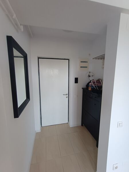 Bragadiru, Ilfov, Iernii.