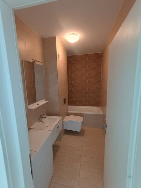 Bragadiru, Ilfov, Iernii.