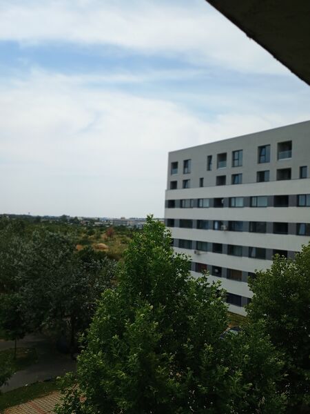 Bragadiru, Ilfov, Iernii.