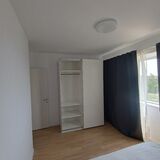 Bragadiru, Ilfov, Iernii